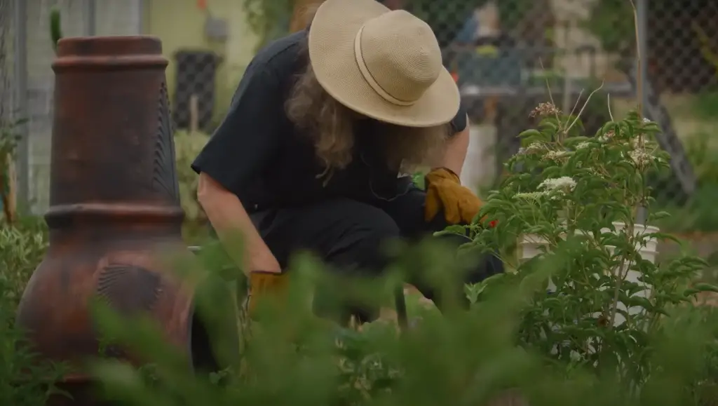 Garden Tour