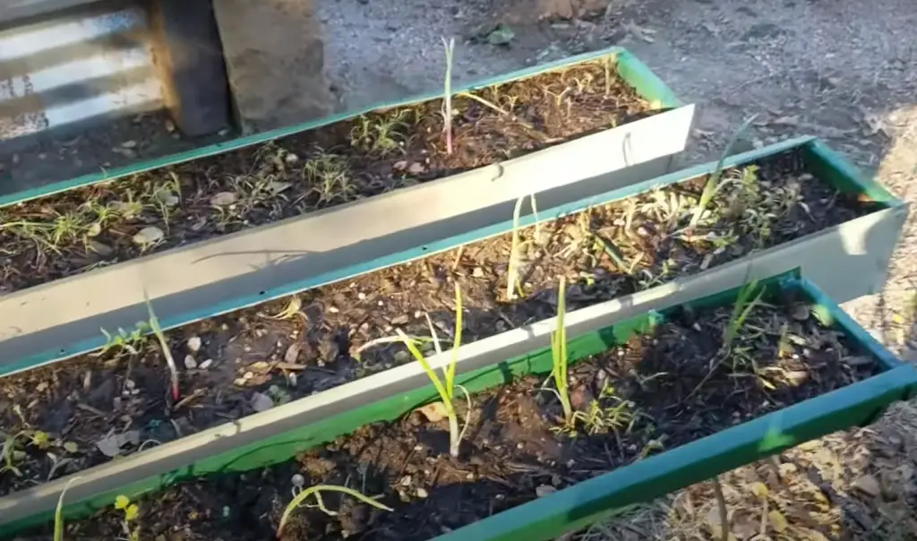 Deck Gutter Garden