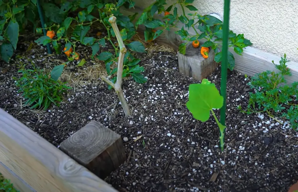 How do you set up a garden bed?