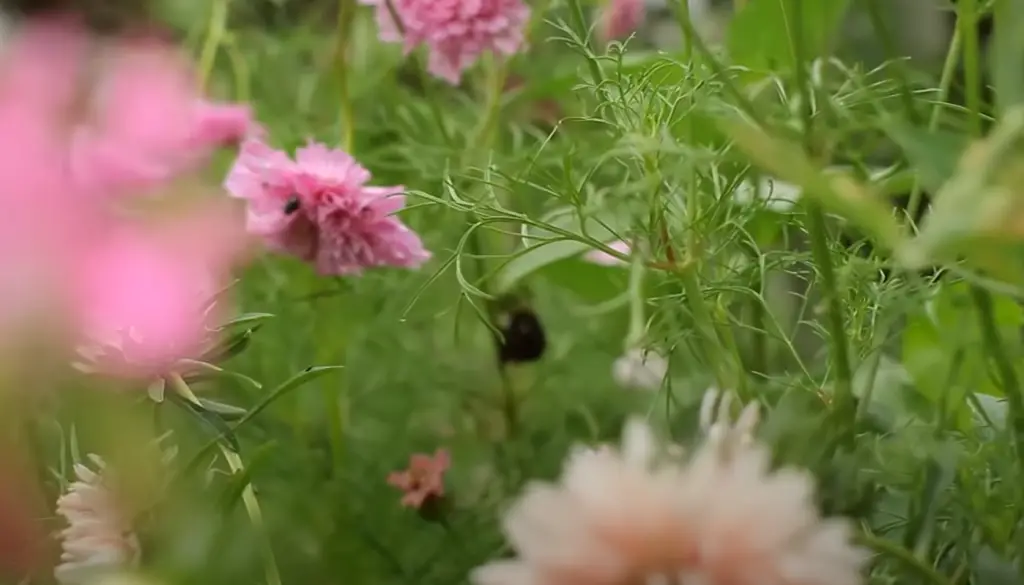 Blend Up Kitchen Scraps For A Quick And Easy Fertilizer