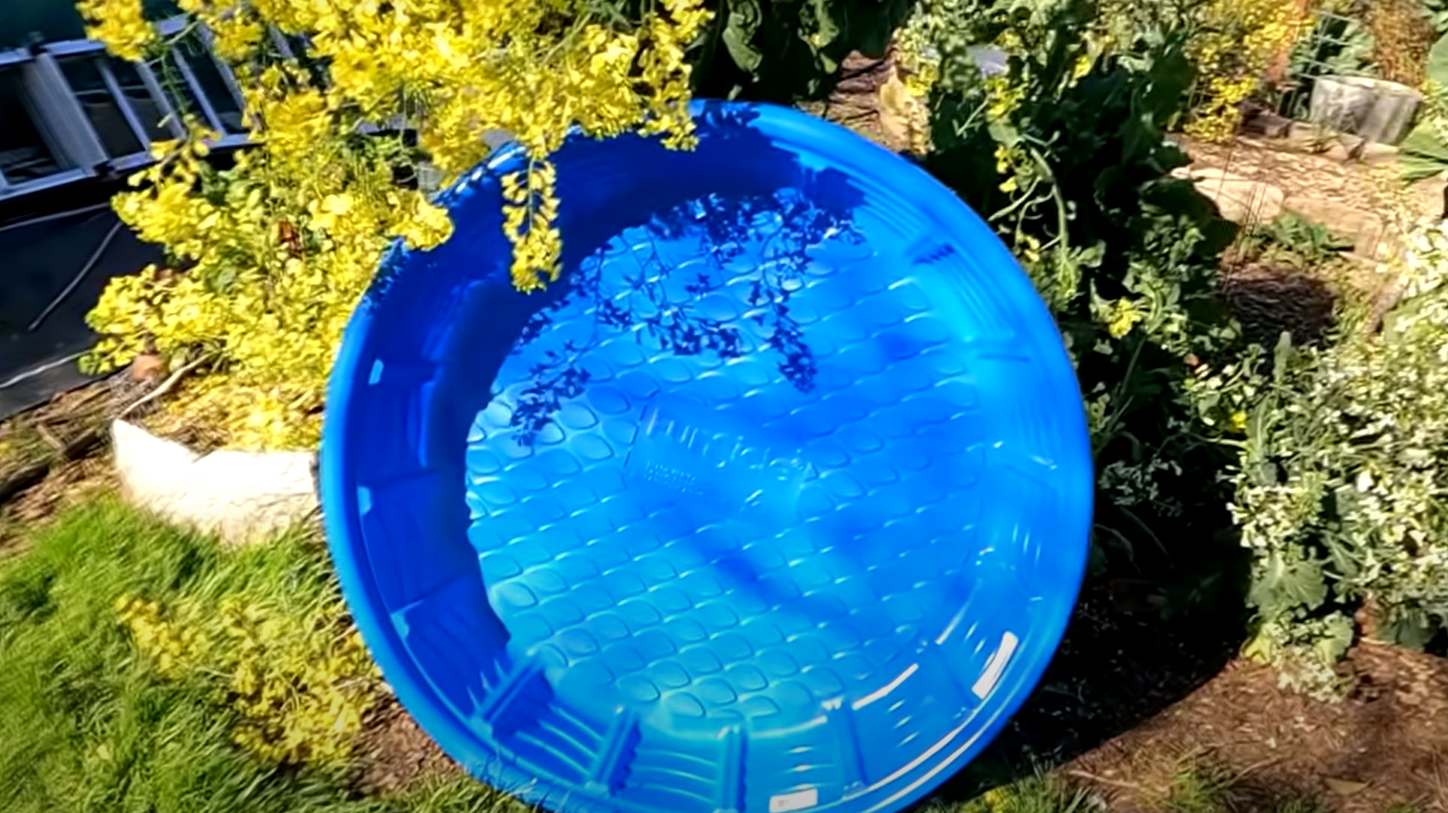 Kiddie Pool Garden Ideas GardenProfy