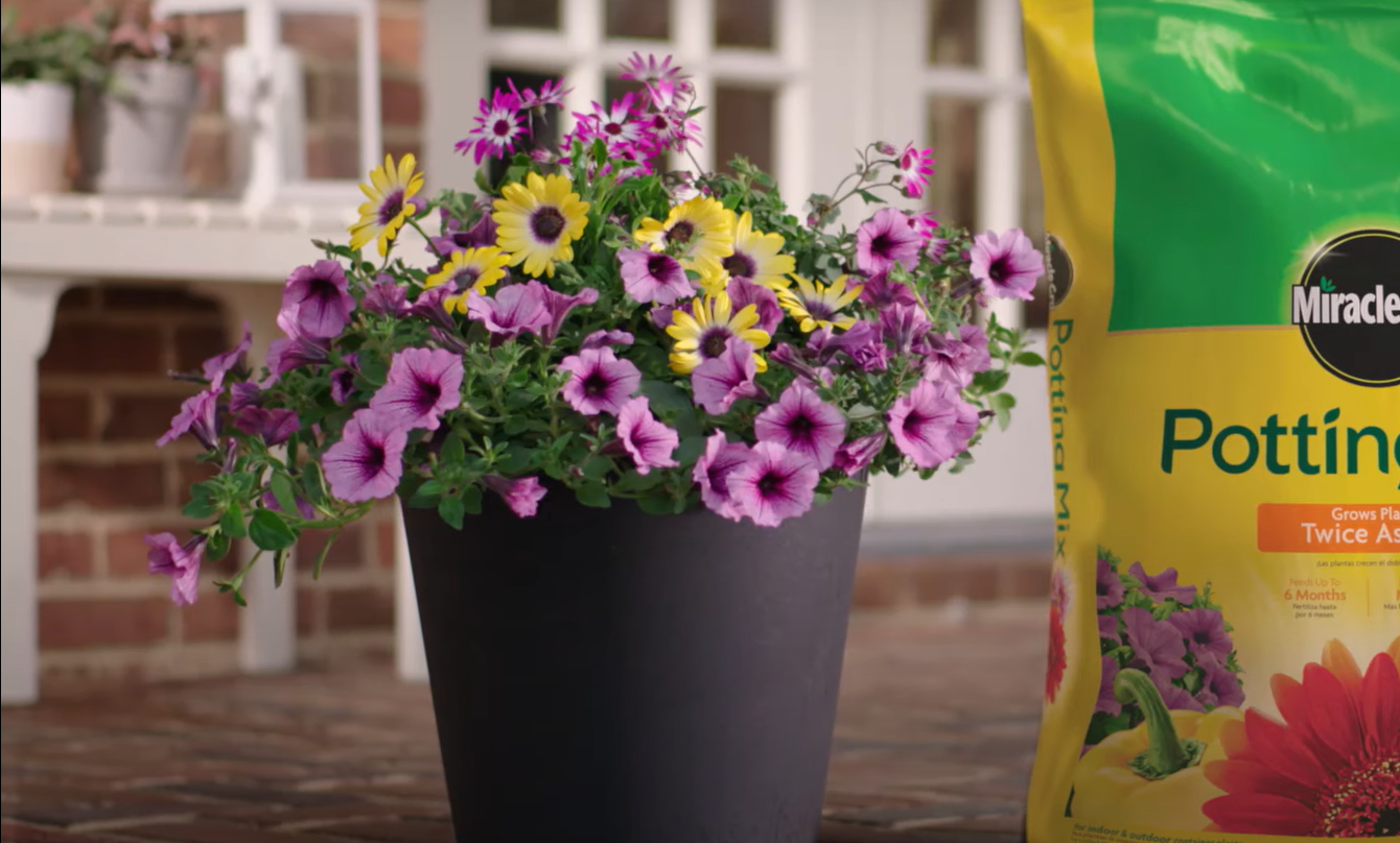 Can You Use Miracle Gro Garden Soil in Pots? GardenProfy