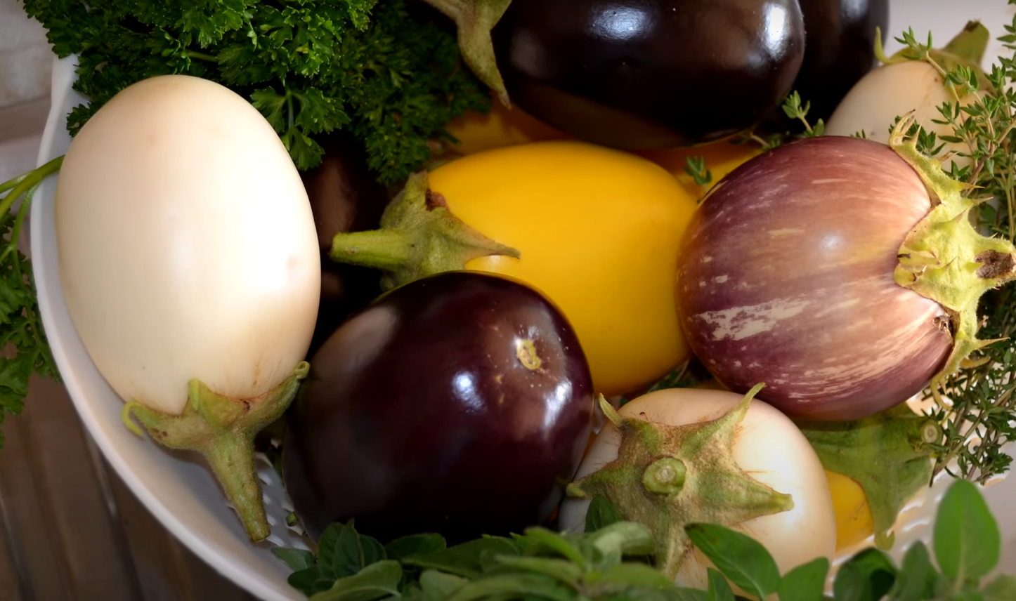 What Do Rats Eat in the Garden? GardenProfy