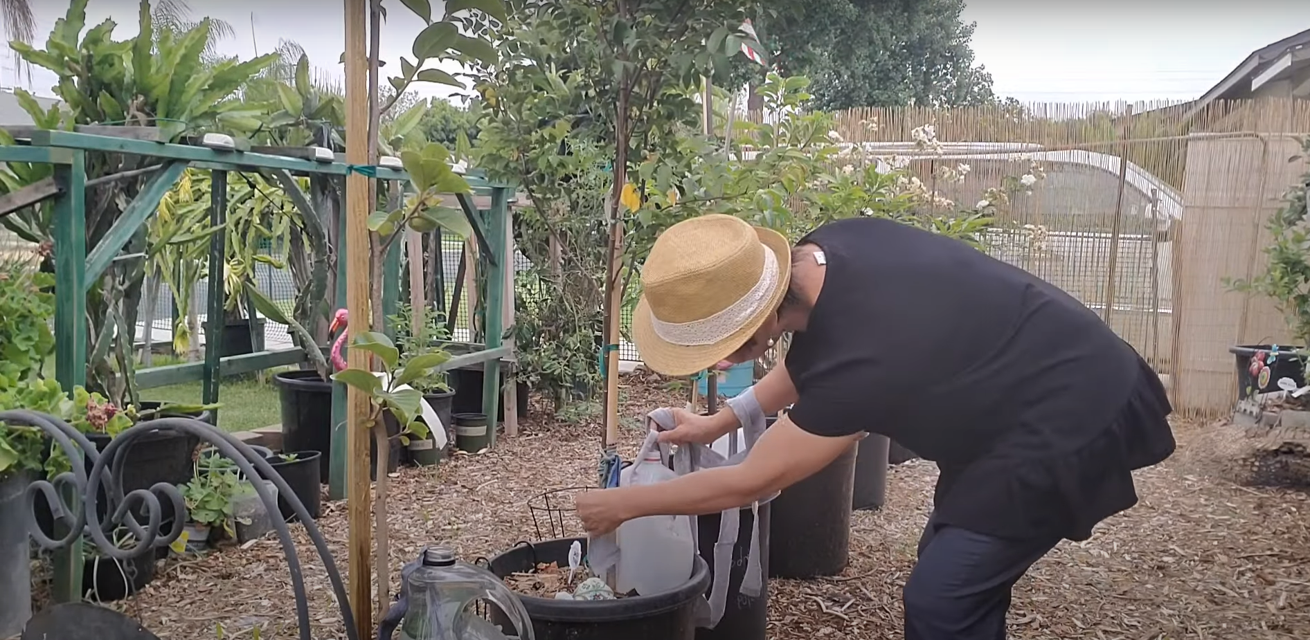 3. Use Watering Cans