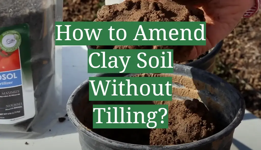 How to Amend Clay Soil Without Tilling? GardenProfy