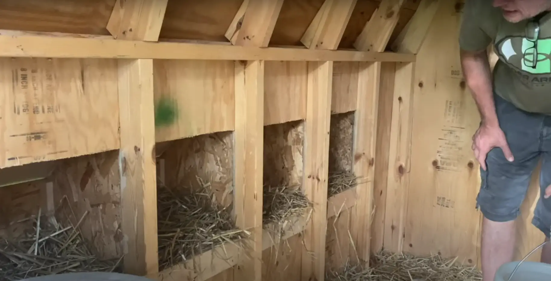 Cons Of Converting A Shed Into A Chicken Coop