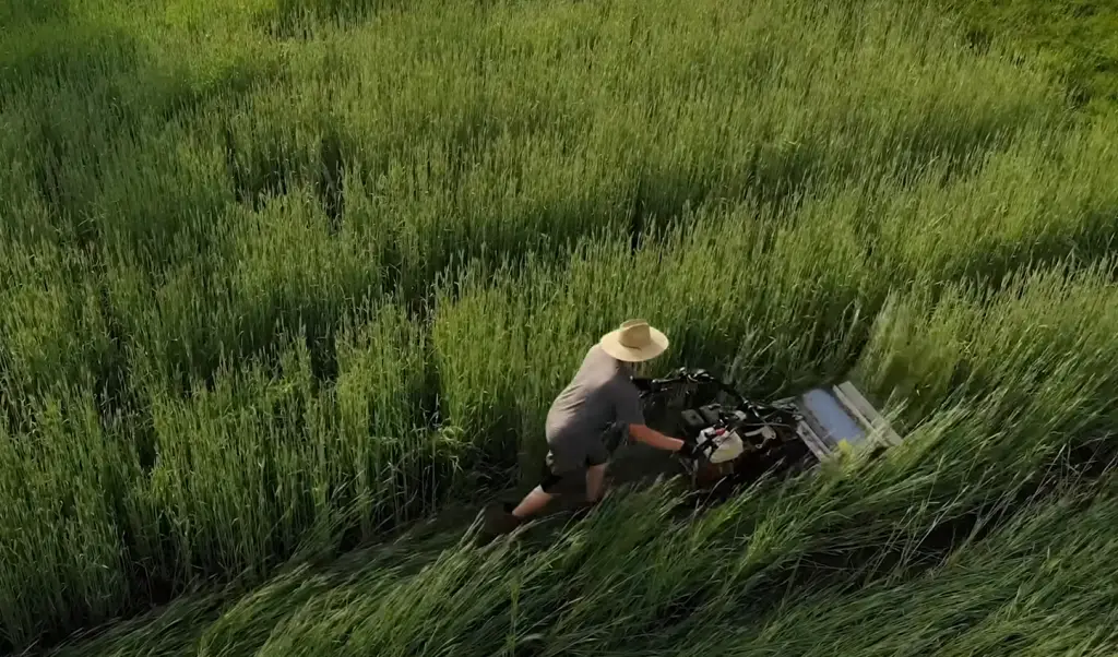 No-Till Gardening Cons