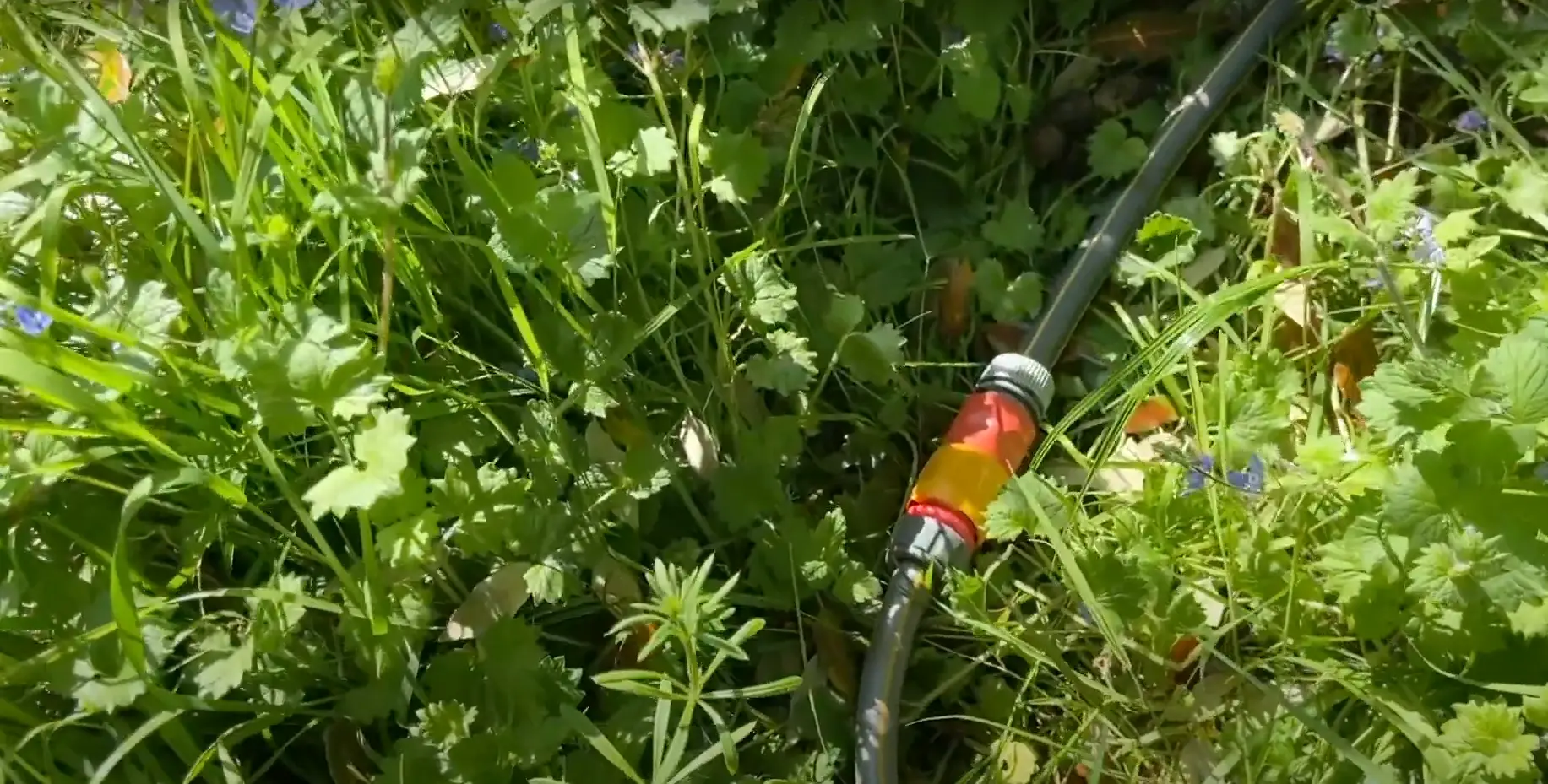 How to Decrease Water Pressure in Your Garden Hose