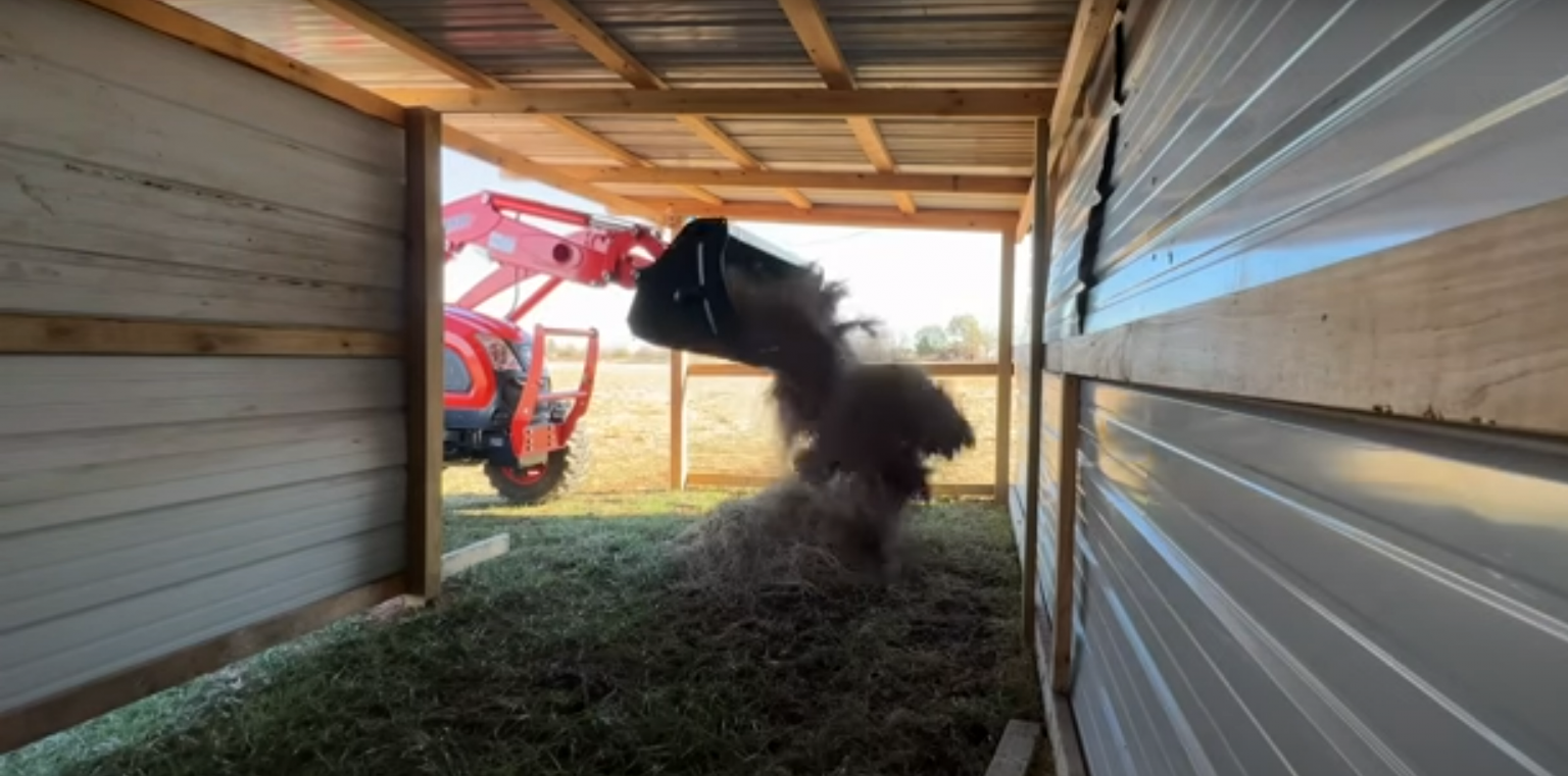 What Is a Loafing Shed? - GardenProfy