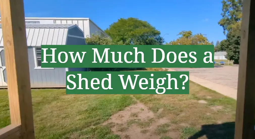 How Much Does a Shed Weigh?