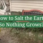 How to Salt the Earth So Nothing Grows?