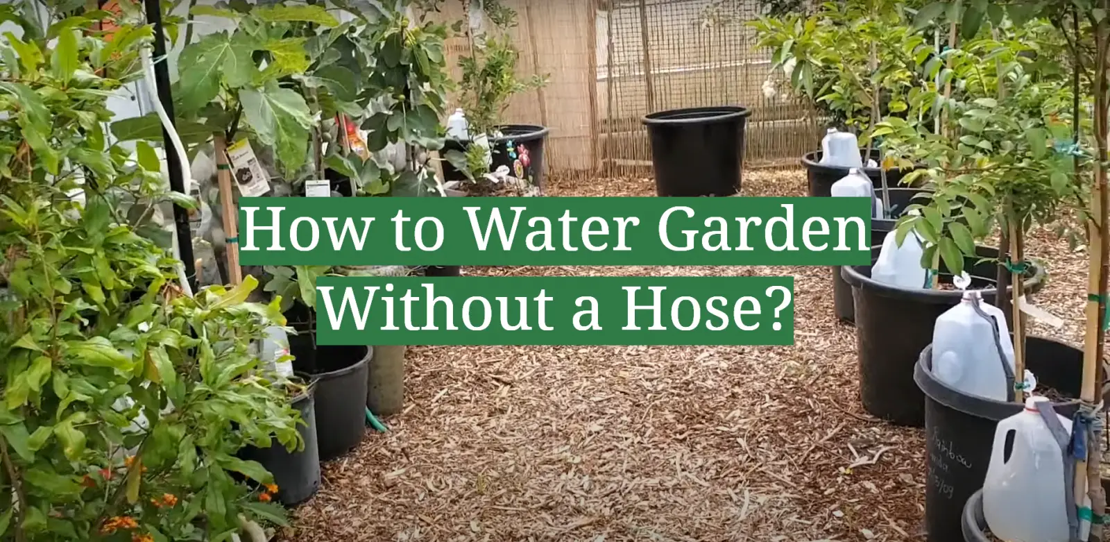 How to Water Garden Without a Hose?
