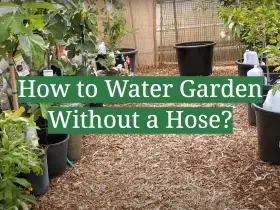 How to Water Garden Without a Hose?