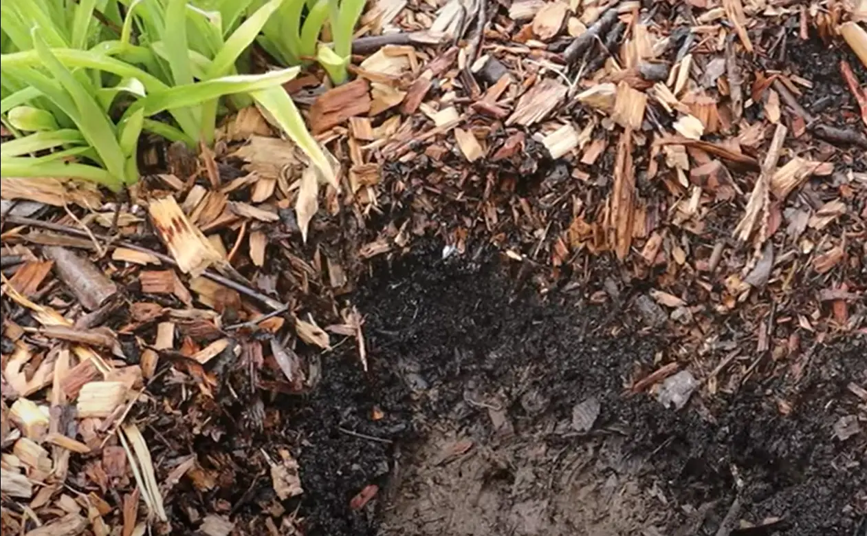 Is Landscape Fabric Safe for Vegetable Gardens? GardenProfy