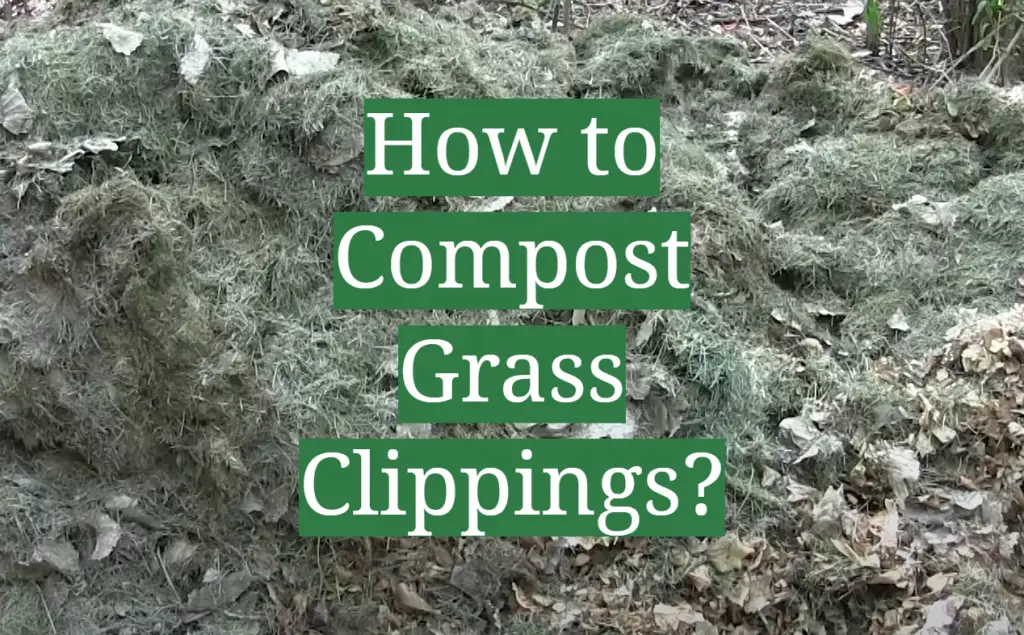 How to Compost Grass Clippings? GardenProfy