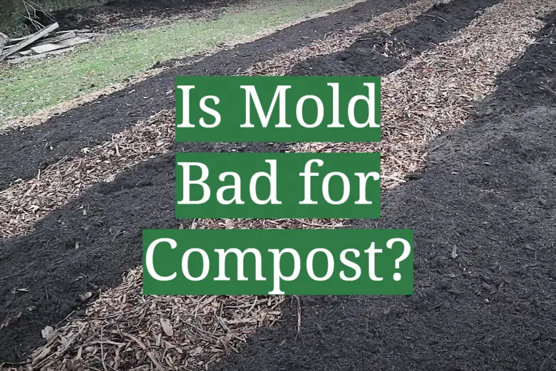 Is Mold Bad for Compost? GardenProfy