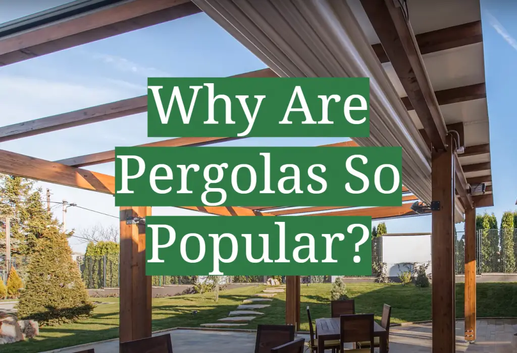 Why Are Pergolas So Popular? GardenProfy