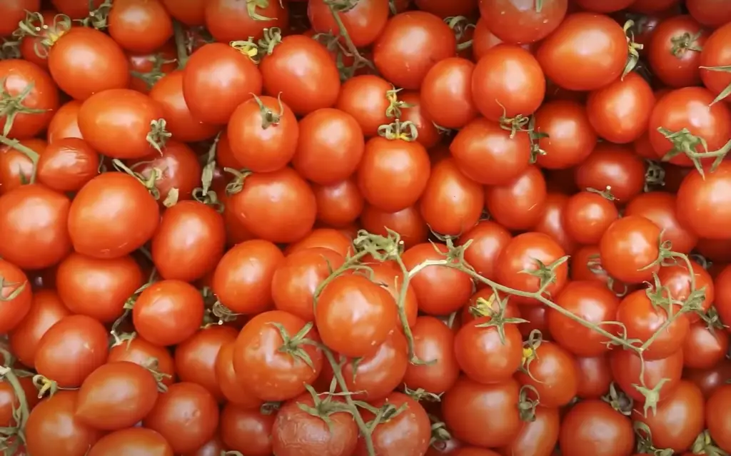 What Are San Marzano Tomatoes?