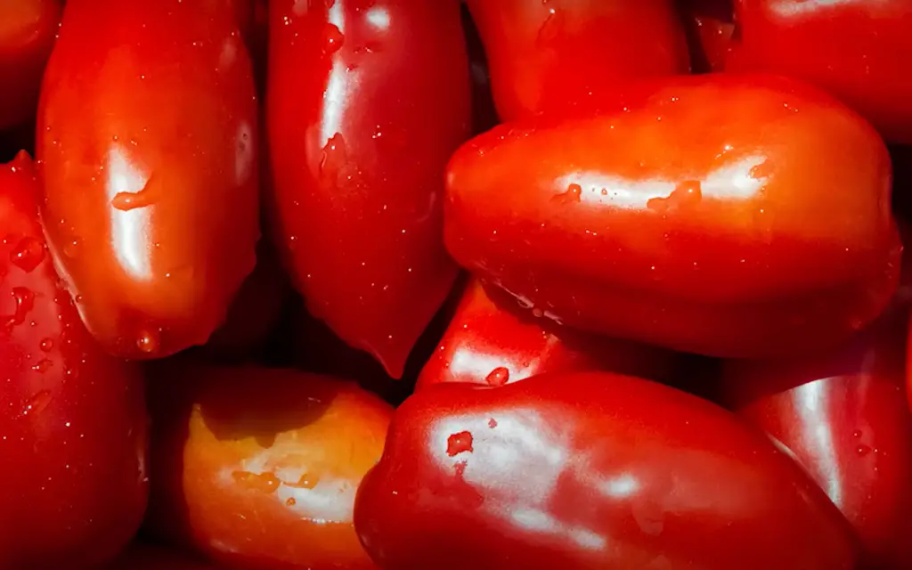 How to Grow San Marzano Tomatoes From Seed