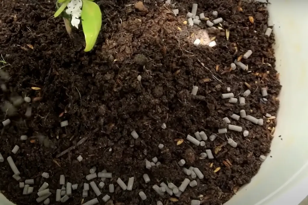 How Long Does Potting Soil Last?