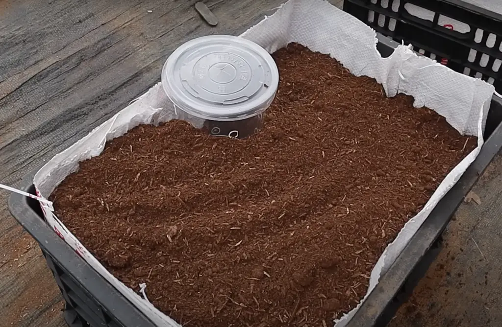 How to Revive Old Potting Soil