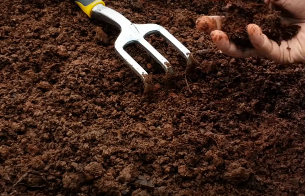 Should Potting Soil Be Replaced Each Year?