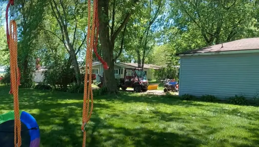 What are the best trees for a tree swing?