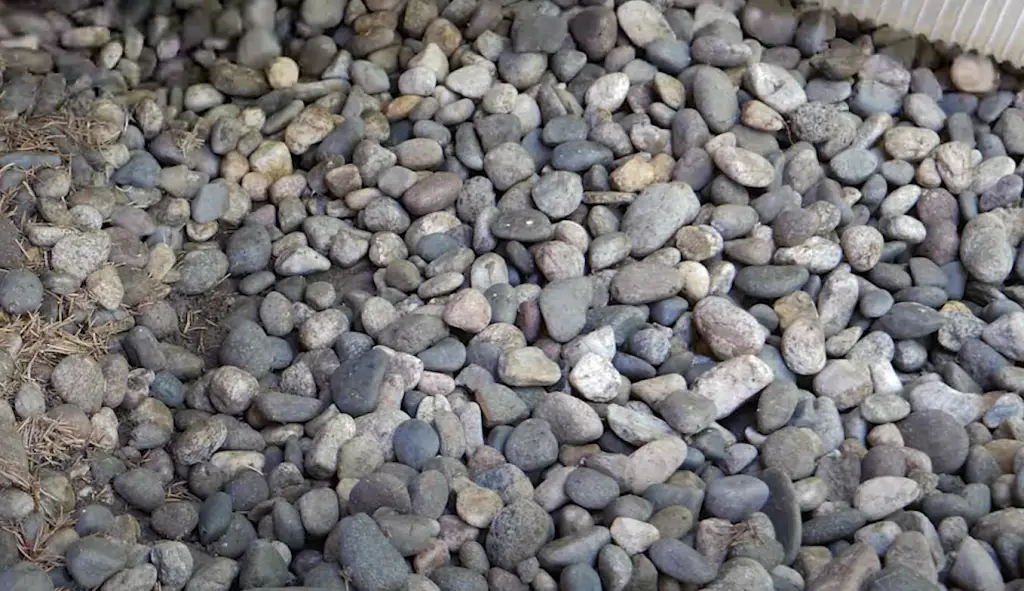 How Rocks Appear in Your Garden