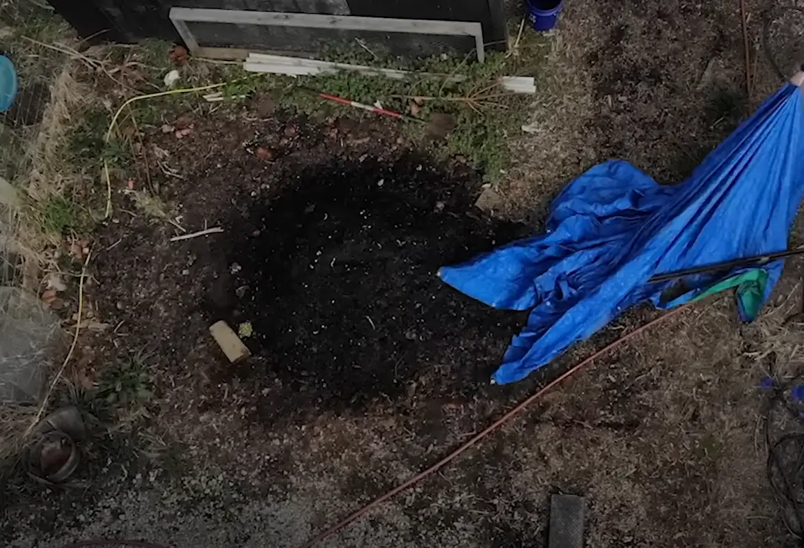 Is Mold Bad for Compost? GardenProfy