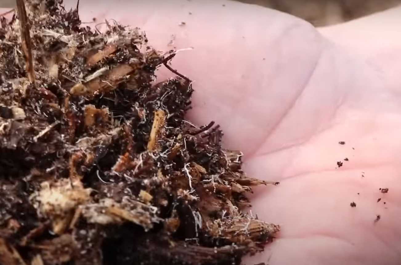 What to Do With Wood Chips From Chipper? GardenProfy