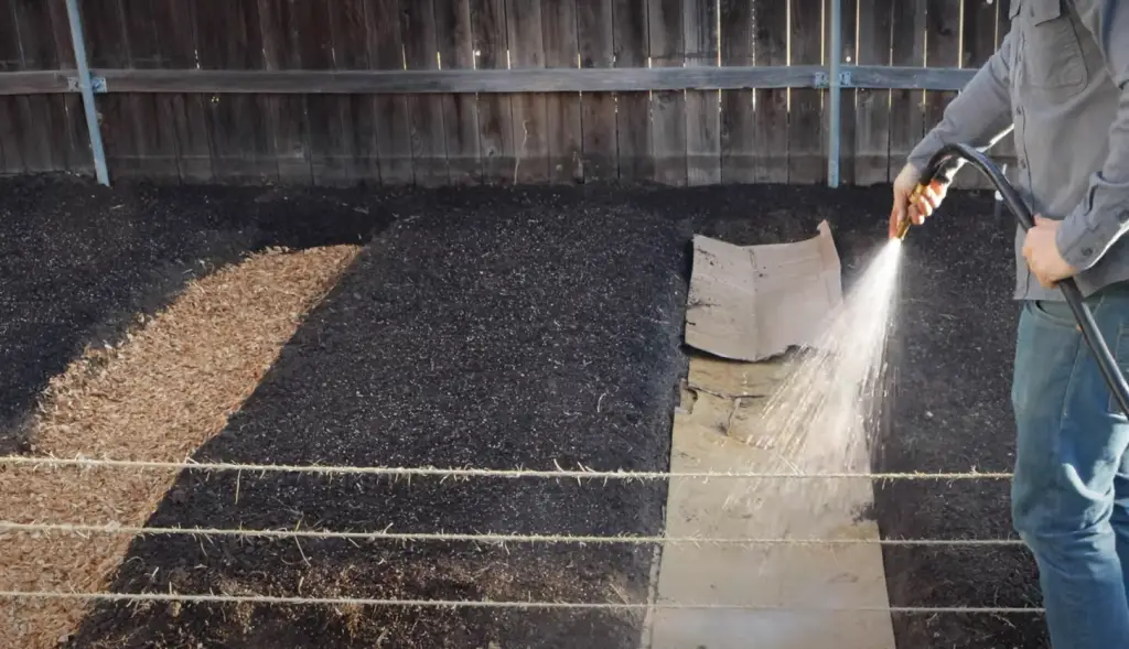 The Main Differences Between Wood Chips and Mulch