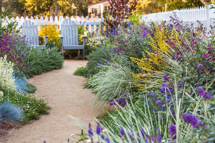 Best Plants for Lavender