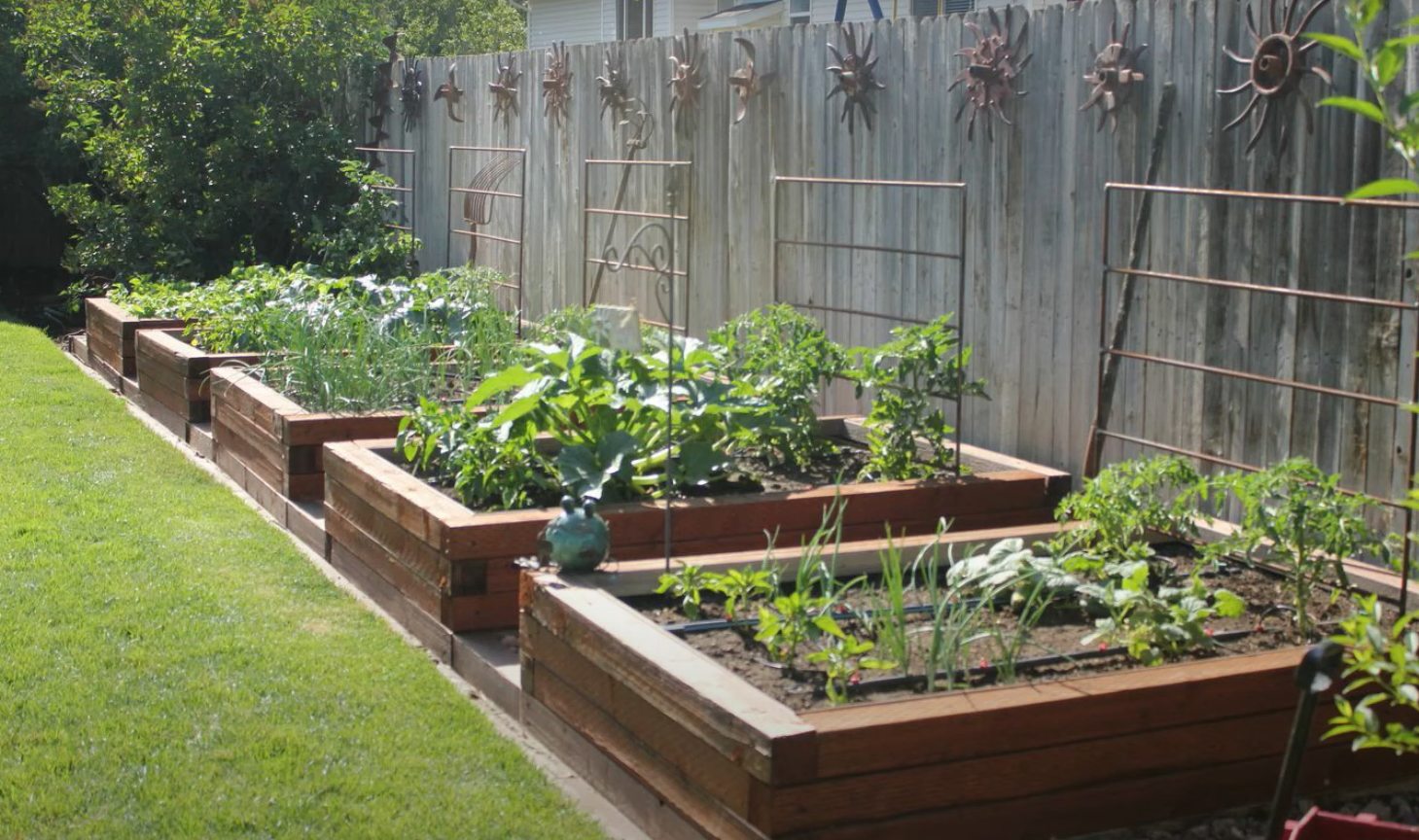 Front Yard Vegetable Garden Ideas - GardenProfy