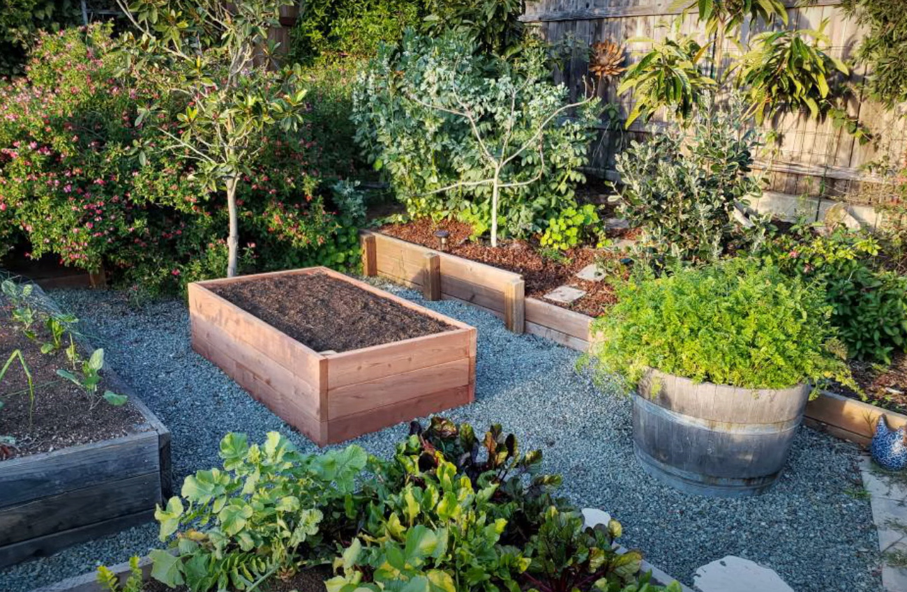 Front Yard Vegetable Garden Ideas - GardenProfy