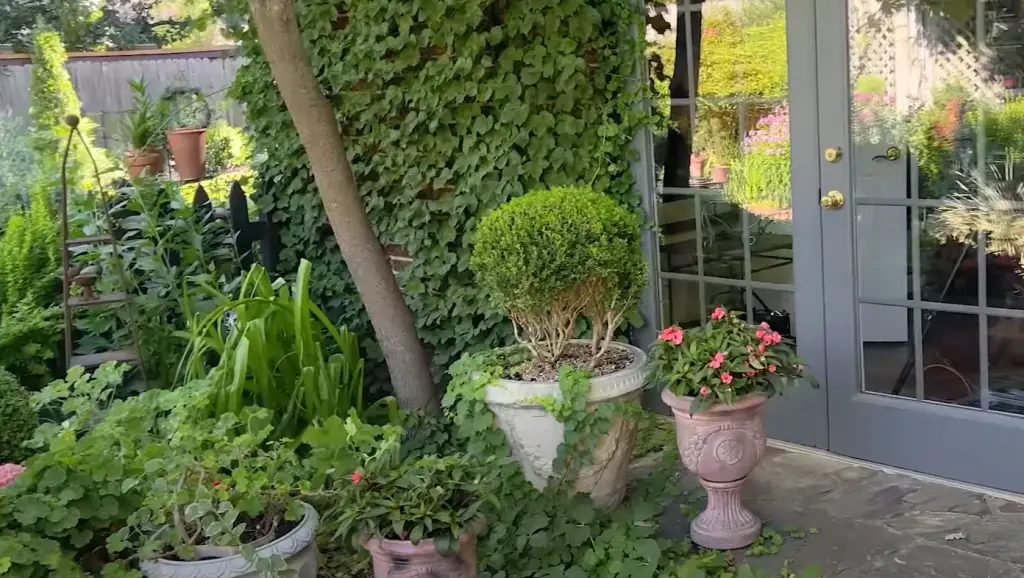Create a Garden Focal point with Plants