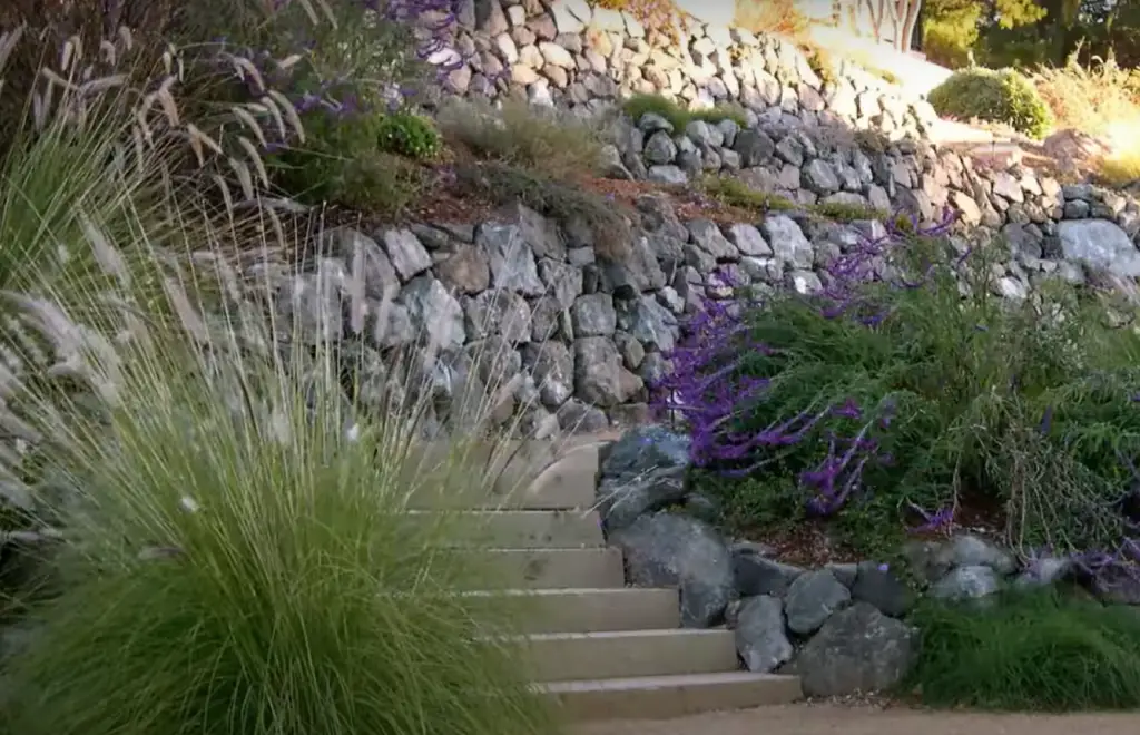 Modify the Stairway with Creeping Thyme Ground Cover
