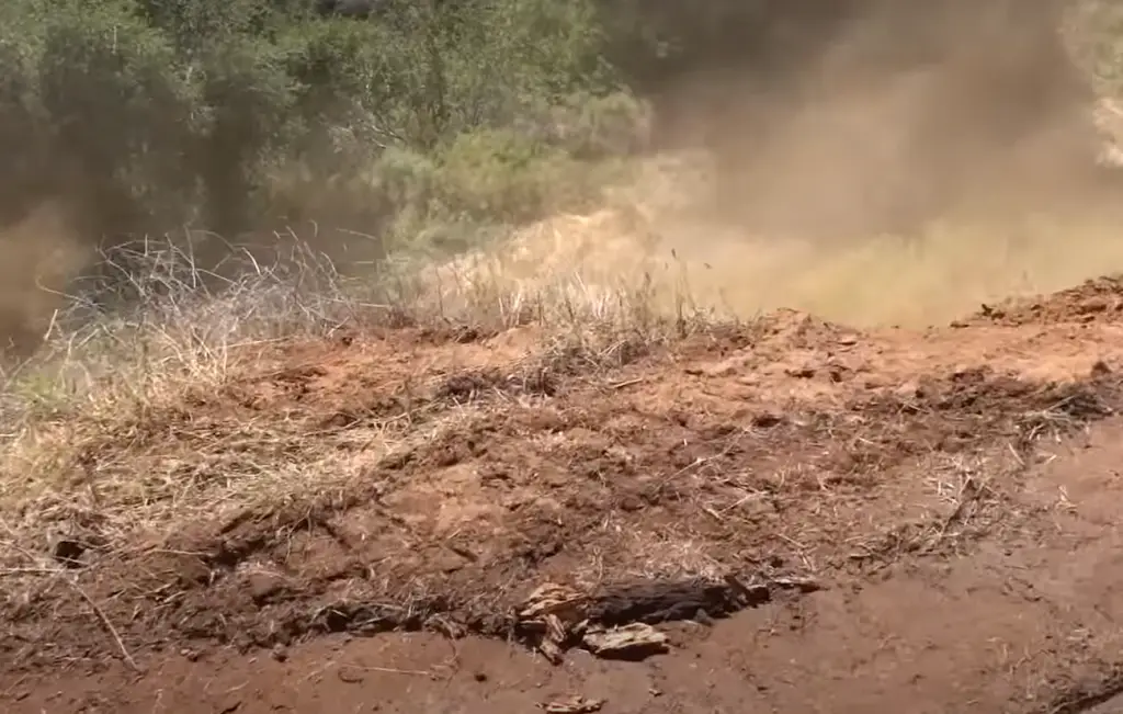 Setting up the track surface