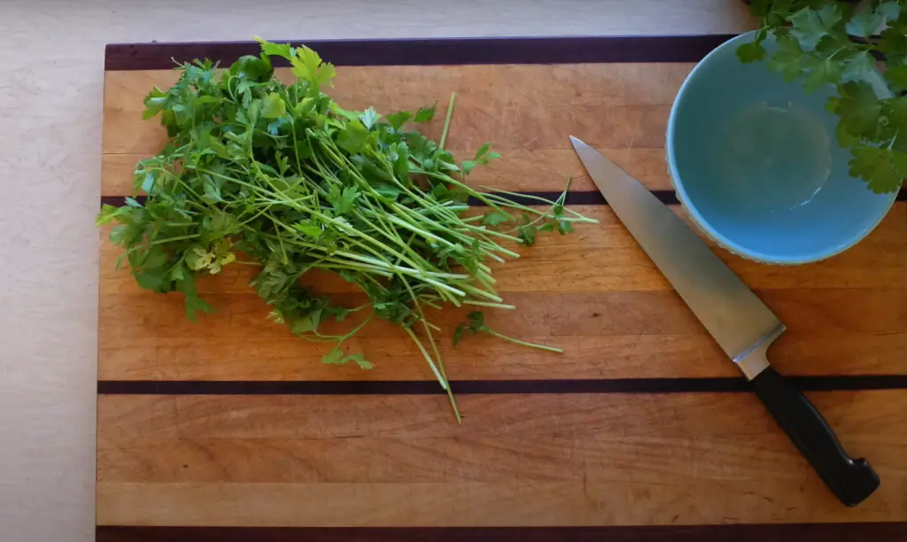 How Many Times Can You Harvest Parsley?
