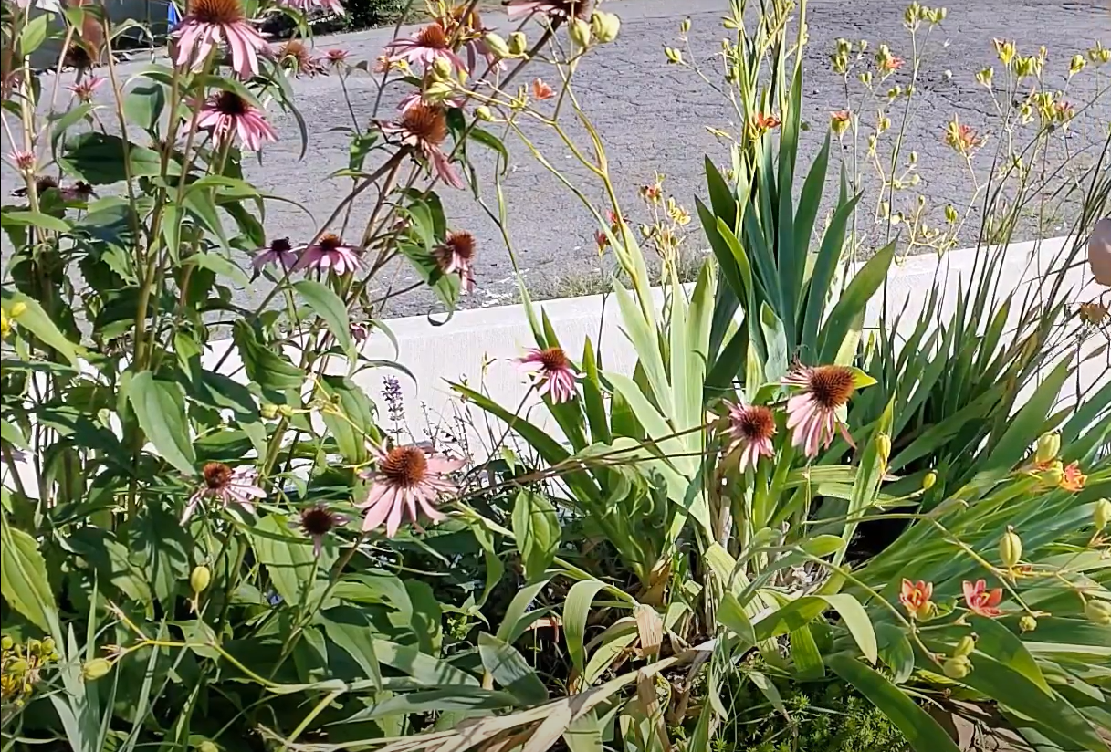 How to Keep Tall Garden Plants From Falling Over? GardenProfy