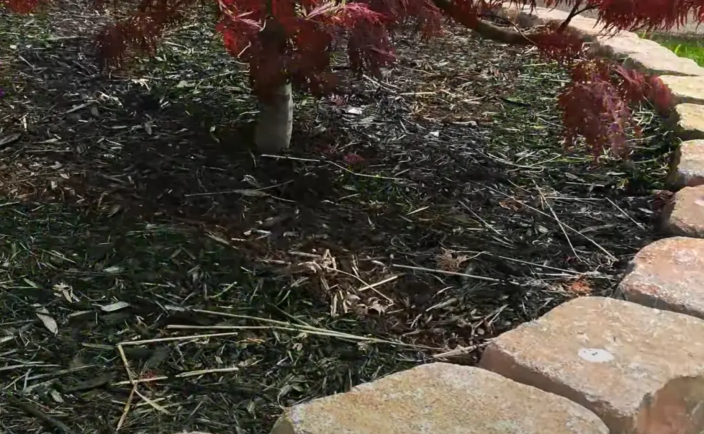 Planting in a Rock Garden Flower Bed