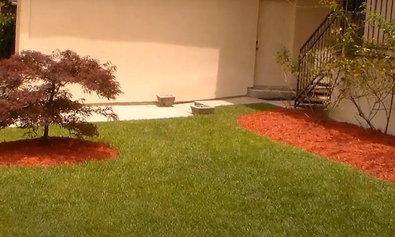Red Mulch Landscaping Ideas GardenProfy