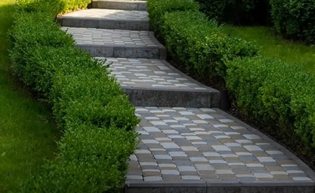 What are the basic elements of landscape design?