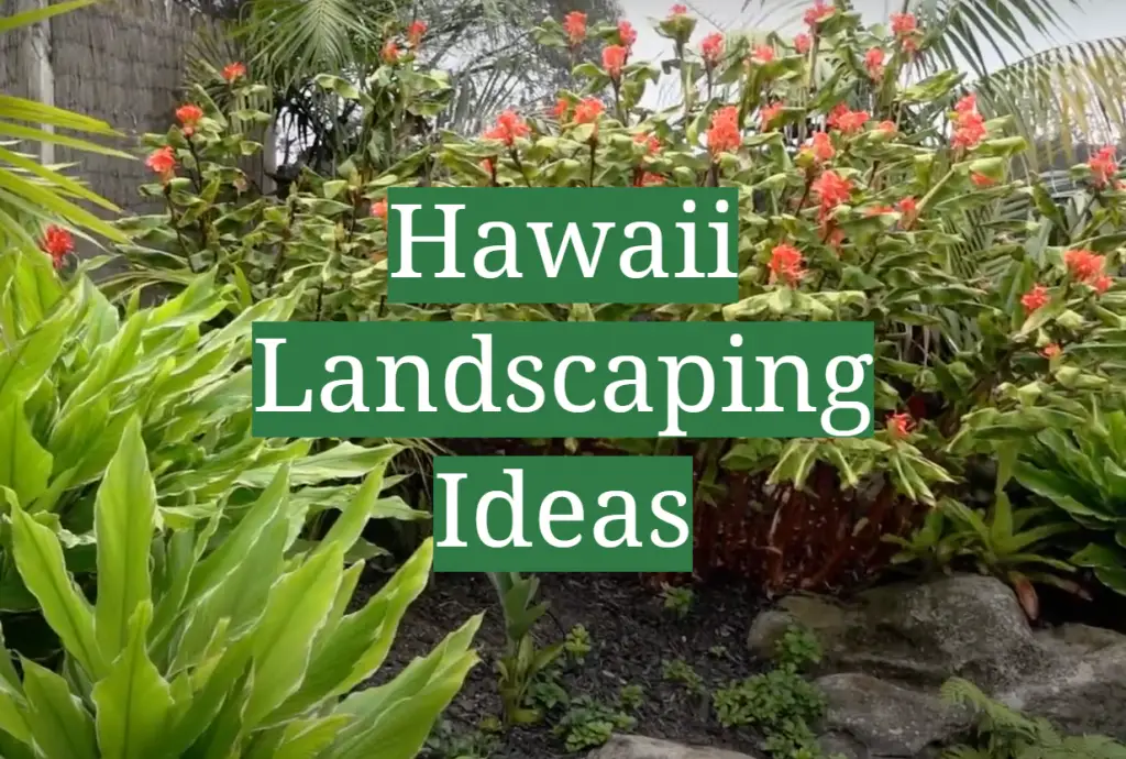 Hawaii Landscaping Ideas - GardenProfy