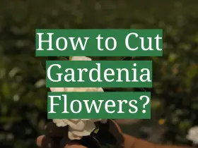 how to describe a garden in creative writing examples
