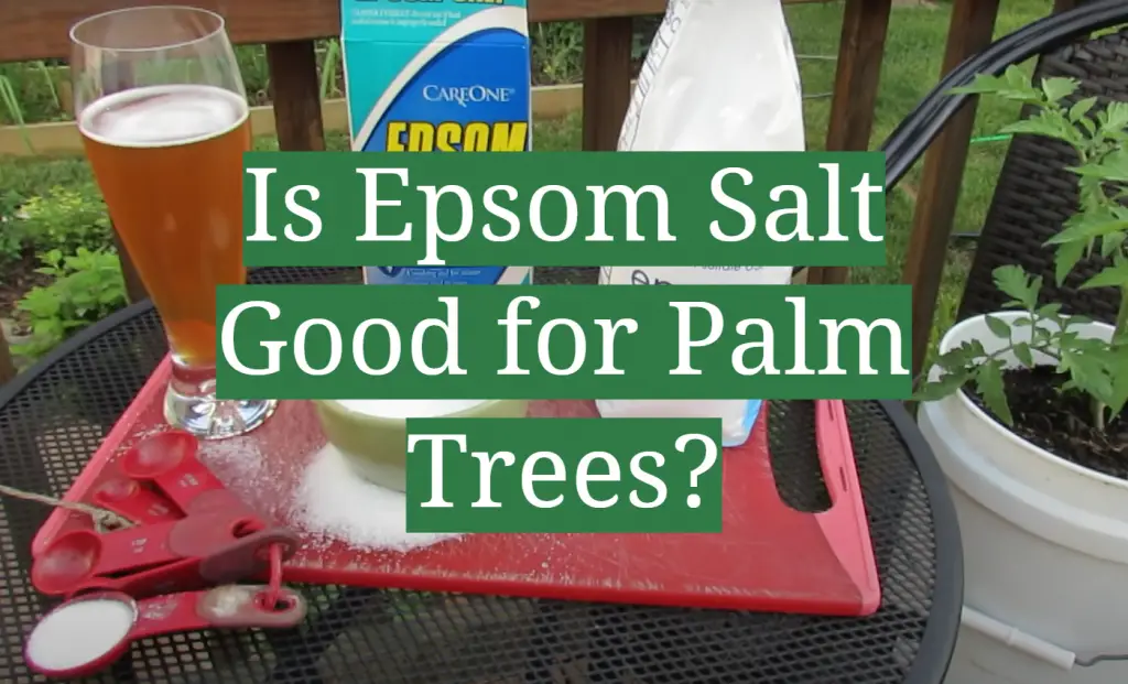 Is Epsom Salt Good for Palm Trees? GardenProfy
