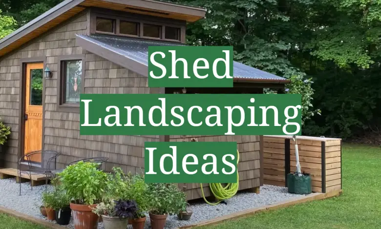 Shed Landscaping Ideas - GardenProfy