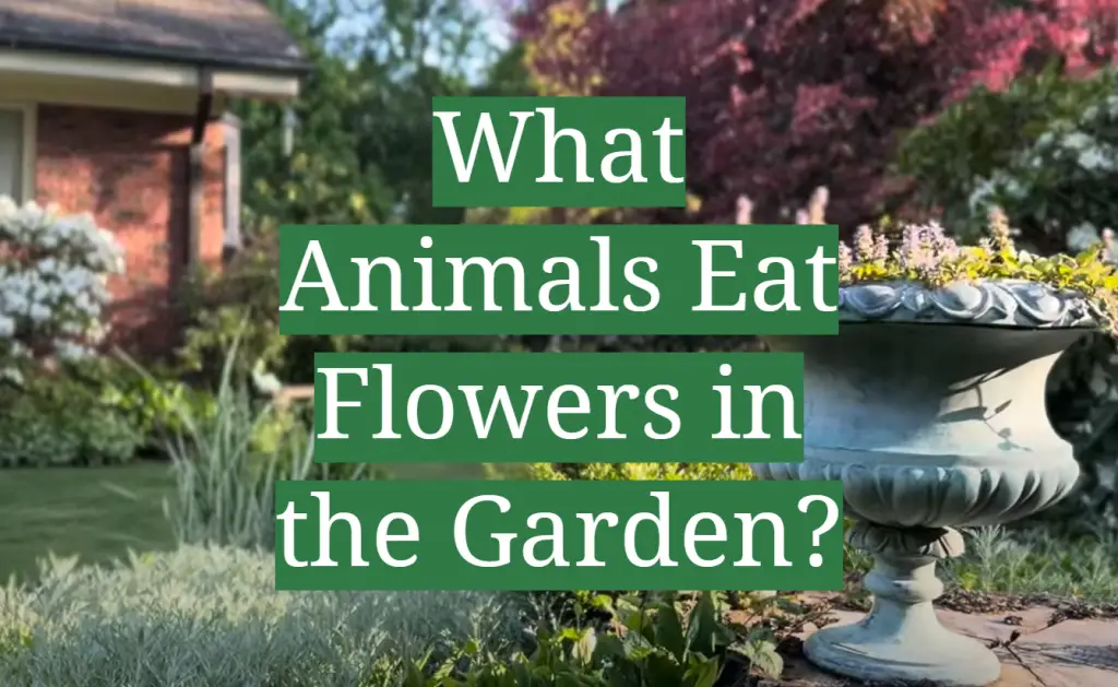 What Animals Eat Flowers in the Garden? GardenProfy