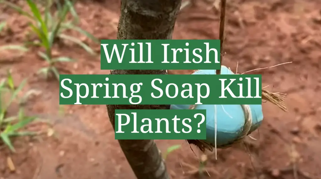 Will Irish Spring Soap Kill Plants? GardenProfy