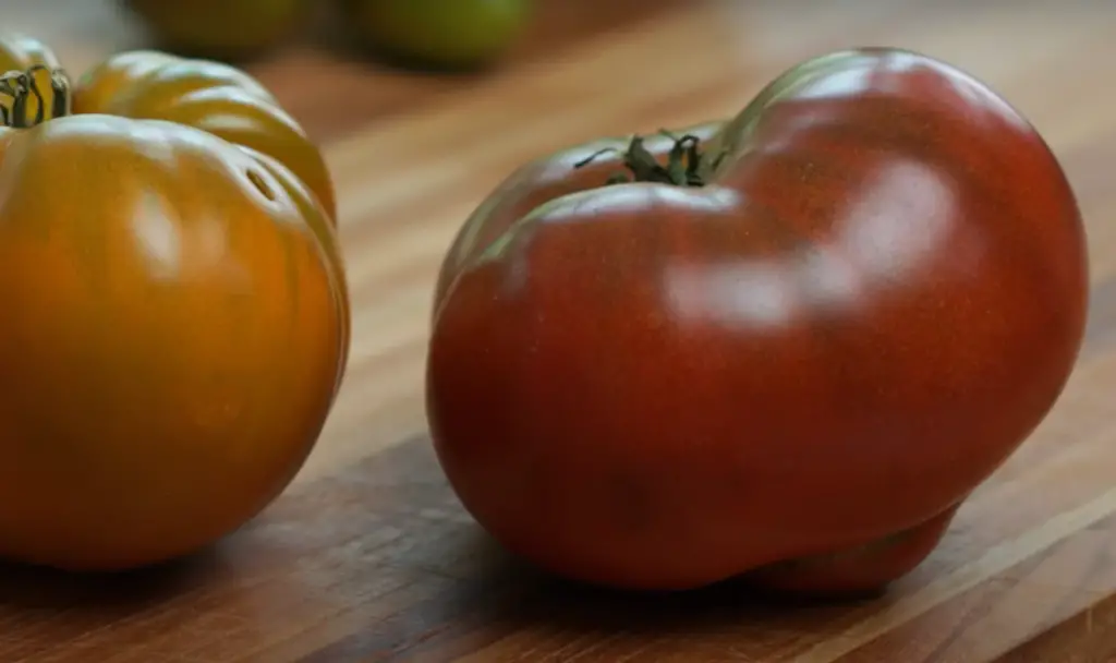 What is the best way to store fresh tomatoes?