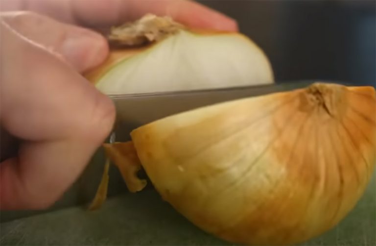 How to Grow Vidalia Onions? GardenProfy